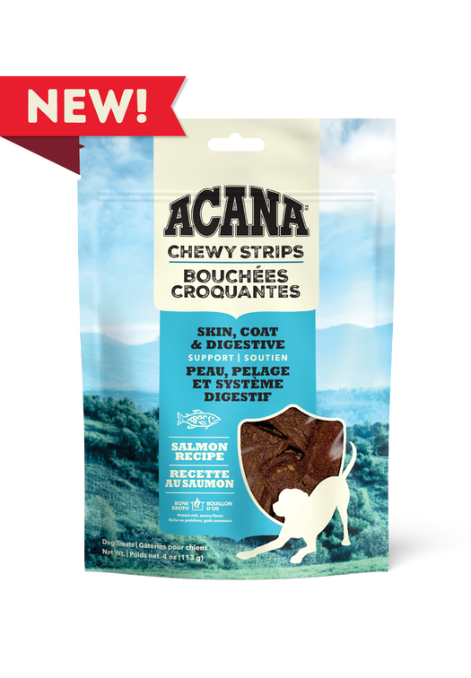 Chewy Strips, Salmon Recipe